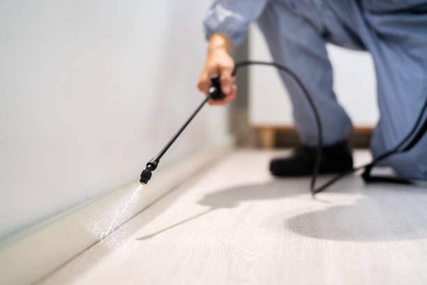 Licensed Termite Control service in University Park, MD - Nex Pest Control