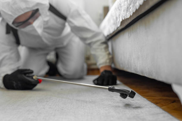 Professional Termite Control technician working in University Park, MD