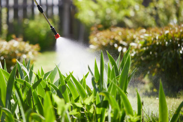 24/7 Emergency Termite Control experts in University Park, MD