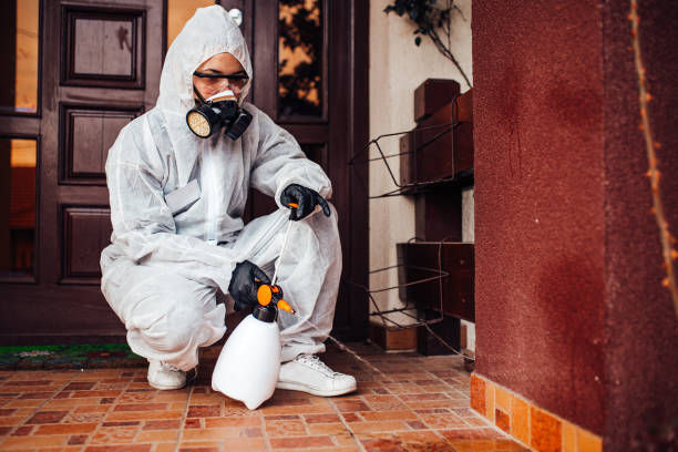 Reliable Termite Control contractor in University Park, MD by Nex Pest Control
