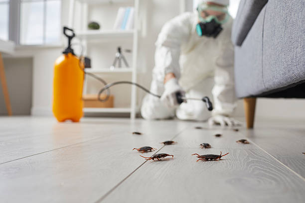Trusted Cockroach Control service in University Park, MD - Nex Pest Control