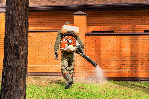 Trusted Mosquito Control service in University Park, MD - Nex Pest Control